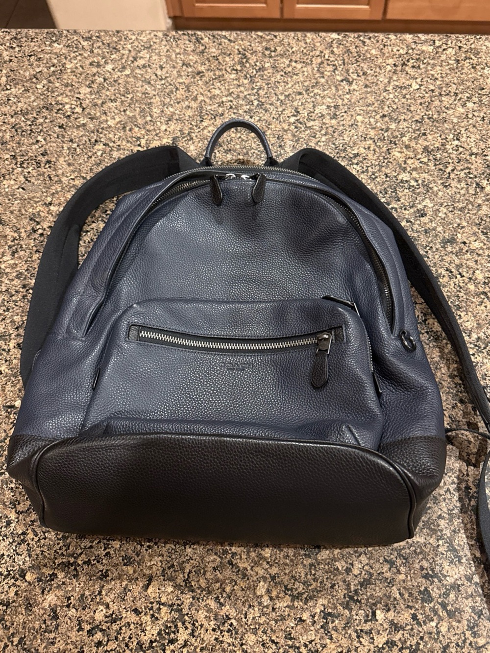 Coach West Men's Navy and Black Leather Backpack - Sleek Everyday Carry